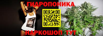 стаф Жуковский