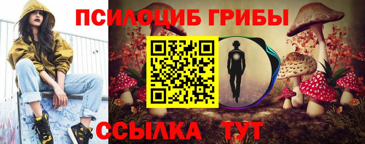 хочу   Вход с VPN  Луховицы  Галлюциногенные грибы Magic Shrooms 