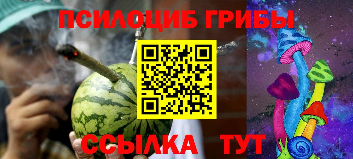 Псилоцибиновые грибы прущие грибы Луховицы
